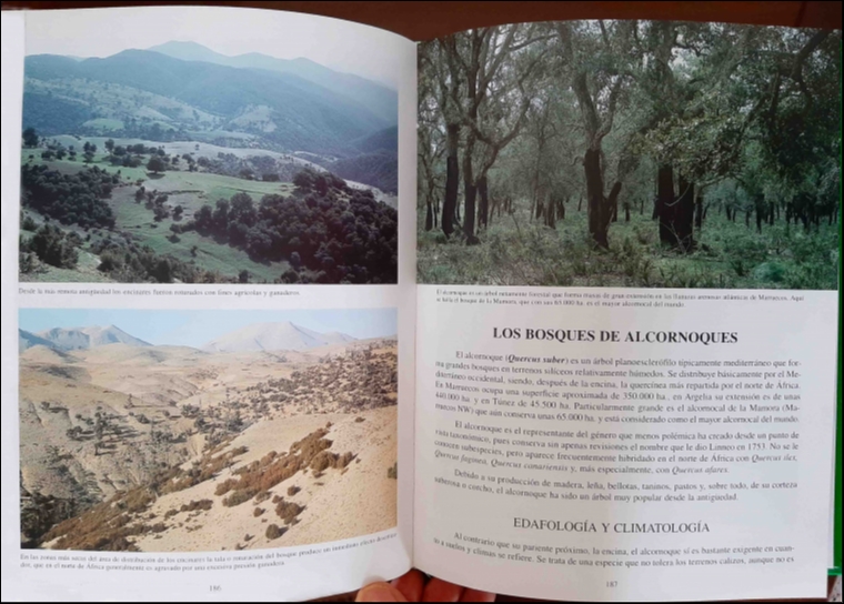 El bosque mediterráneo en el norte de África